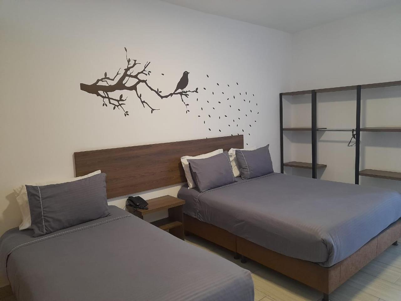 סנטה רוזה דה כבאל Hotel Entre Lomas מראה חיצוני תמונה